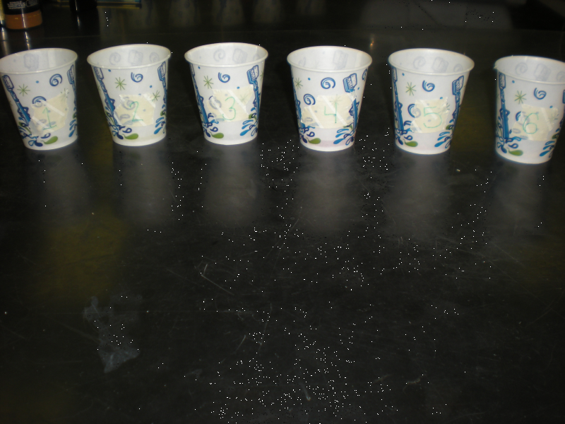 File:Cupsinarow.png