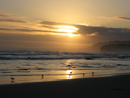 File:SmailsBeach.jpg