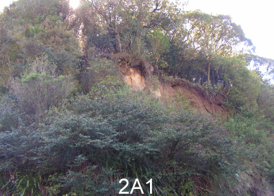 File:2a1.jpg