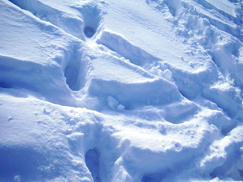 File:Snowprint.jpg