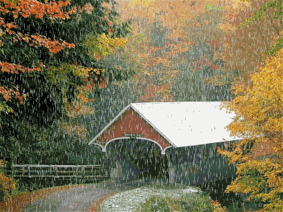 Rain Animation.gif