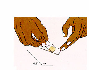 Transfer1.jpg