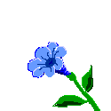Flowers6.gif