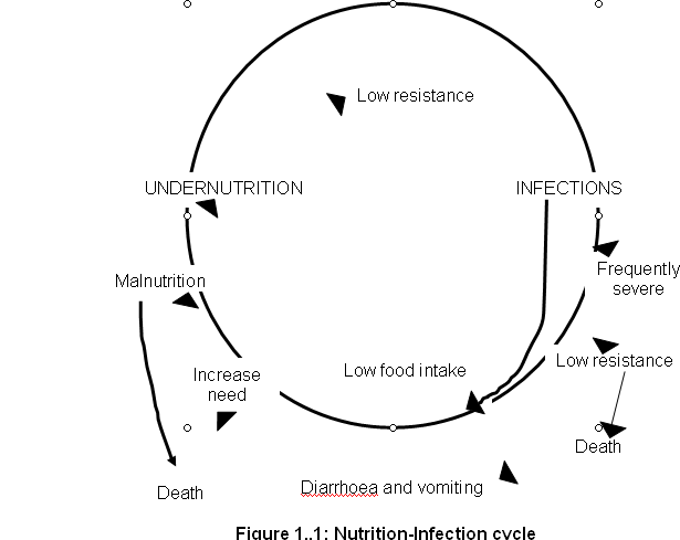Infections can lead to malnutrition