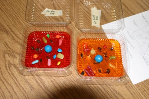 File:Cell7.png
