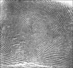 File:Loop.jpg