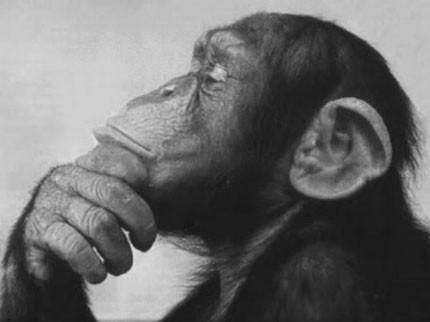 File:Thinker.jpg