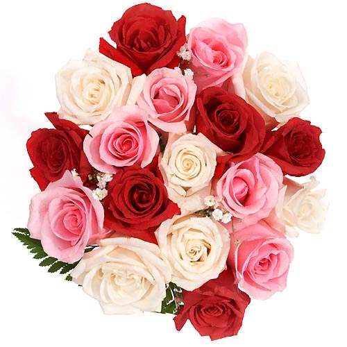 File:Assorted Roses.jpg