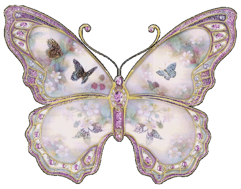 Butterfly-111.GIF