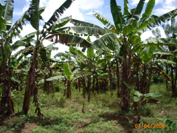 B3.jpg
