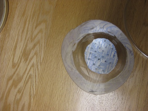 File:CompostStryofoam.jpg