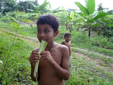 Amazon children.jpg