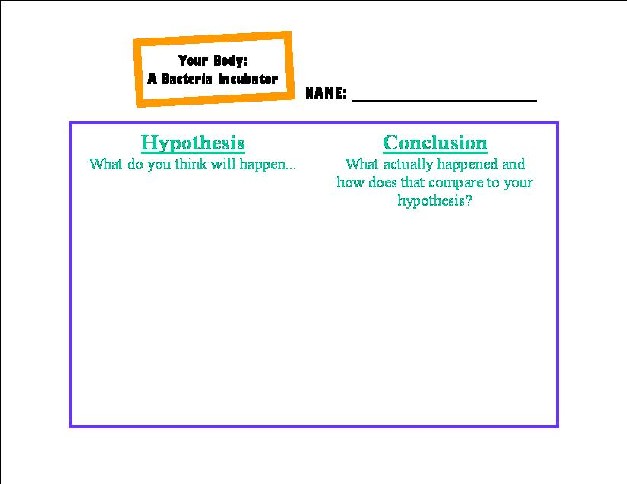 File:Bacteria.jpg