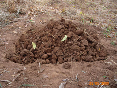 File:0010a.jpg