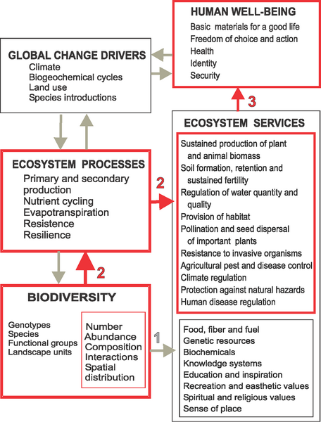 File:JohnWS-Ecosystem Services.png