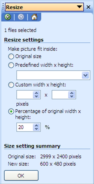 File:AST PM Resize panel.jpg