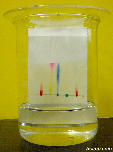 File:Chromatography.jpg