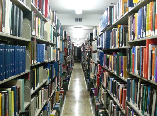 File:Bookshelf2.jpg