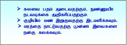 Tp23.JPG