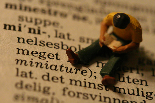 File:Mini reader.jpg
