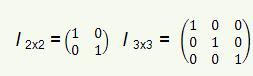 MtxUnit.JPG