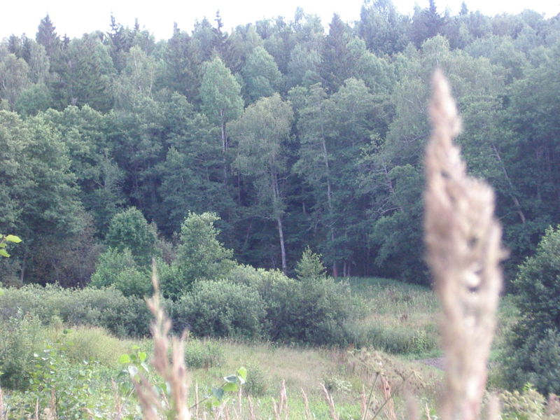 File:Ololade.jpg