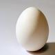 Egg.JPG