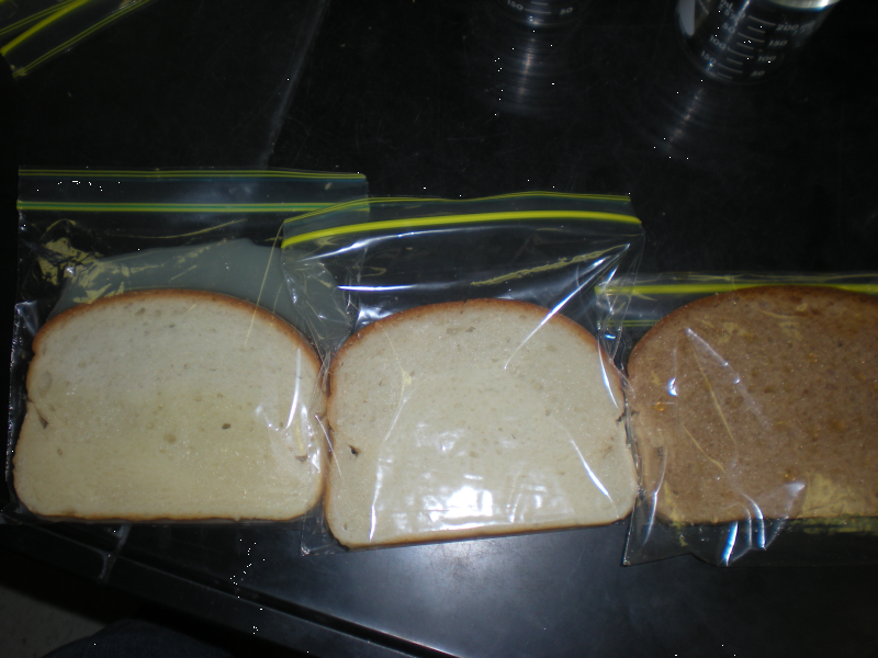 File:MarianSMCbreadnotchurned.png