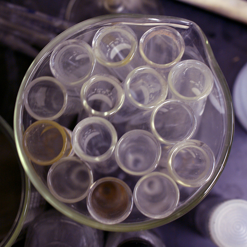 File:Testtubes.jpg