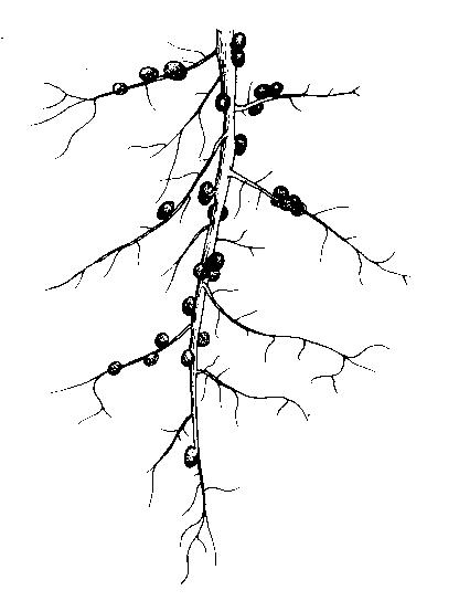 File:Fig.2.jpg