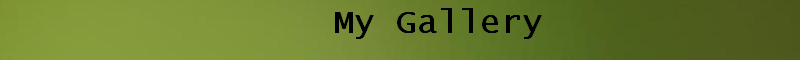 Mygallery.png