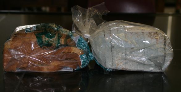 File:Moldy bread.jpg