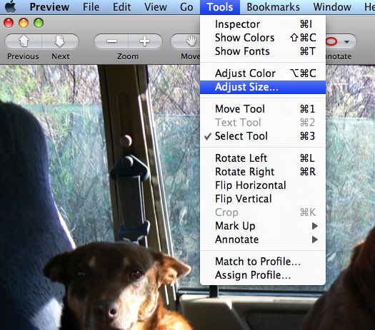 File:Adjust Mac.png
