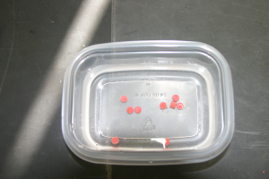 File:Erasers2.png
