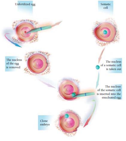File:Figure-3.jpg