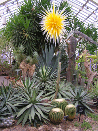File:Pict0253.gif