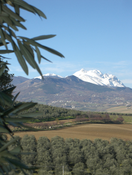 Picture of mountain.jpg