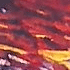 WEIcon (2).gif