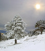 File:Nature..jpg