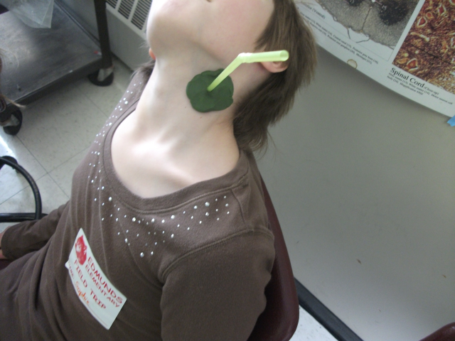 File:Heartbeatcheck.png