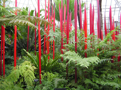 File:Pict0206.gif