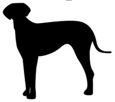 File:Picture001.jpg