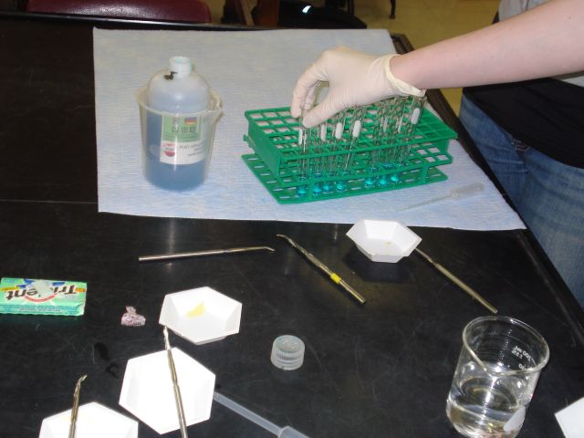 File:Experiment Layout 2.jpg