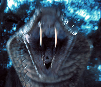 Jacobsnake.jpg