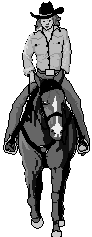 Horse.gif