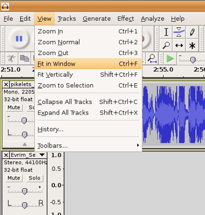 Audacity-fitinwindow.png