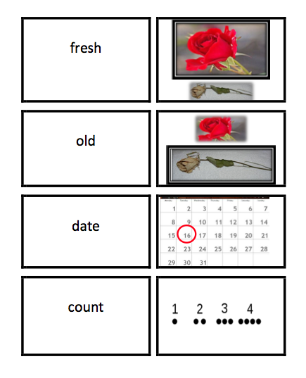 File:Vocabsheet3e.png