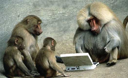 File:Monkeys on computers.jpg