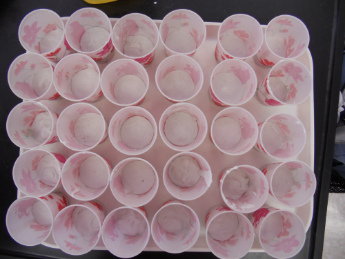 File:Fwfmaterials1.png