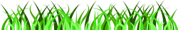 Grass